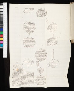 Oxford (United Kingdom), University of Oxford, The Bodleian Libraries: Ms. Opp. 458