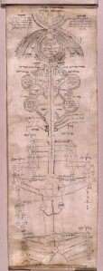 New York, JTS, Ms. 441